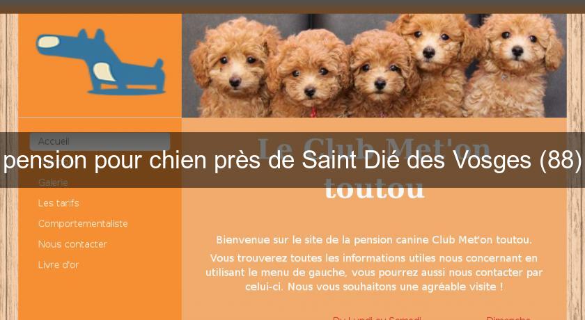 pension pour chien près de Saint Dié des Vosges (88)