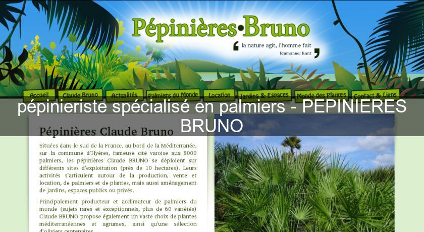pépinieriste spécialisé en palmiers - PEPINIERES BRUNO