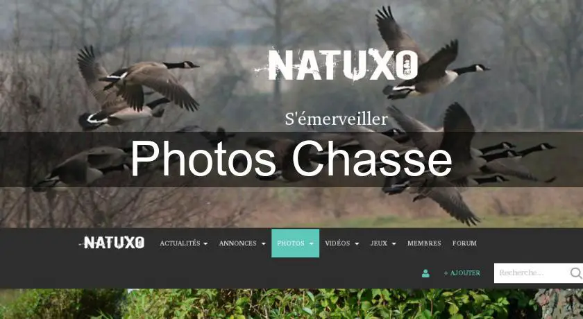 Photos Chasse