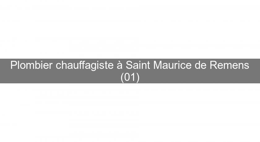 Plombier chauffagiste à Saint Maurice de Remens (01)
