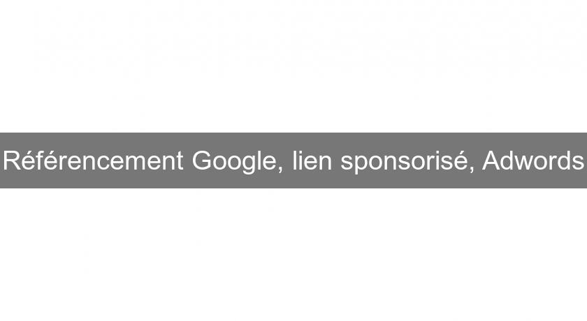 Référencement Google, lien sponsorisé, Adwords