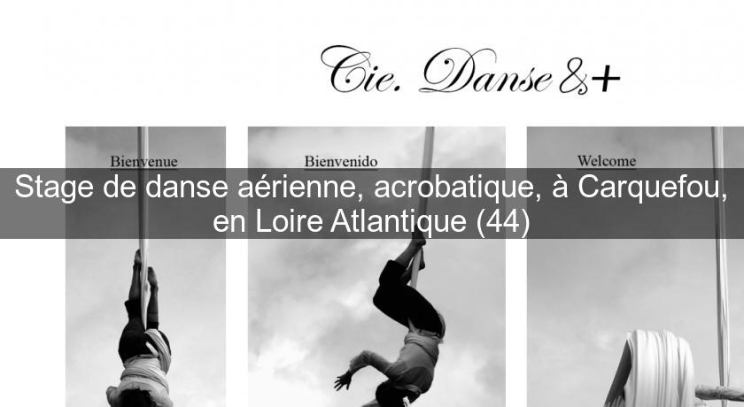Stage de danse aérienne, acrobatique, à Carquefou, en Loire Atlantique (44)