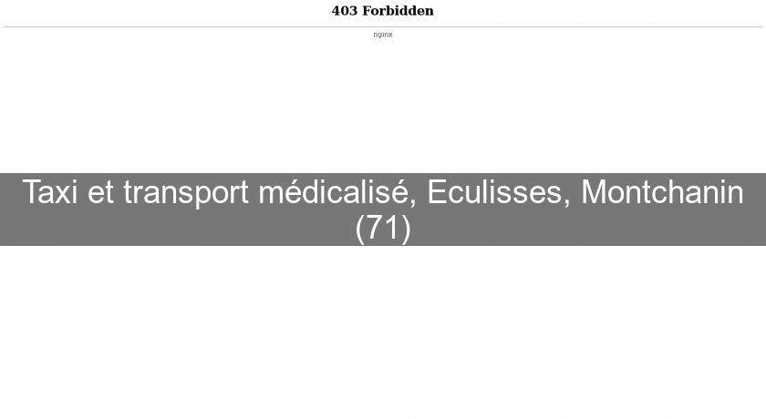 Taxi et transport médicalisé, Eculisses, Montchanin (71)