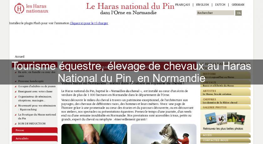 Tourisme équestre, élevage de chevaux au Haras National du Pin, en Normandie