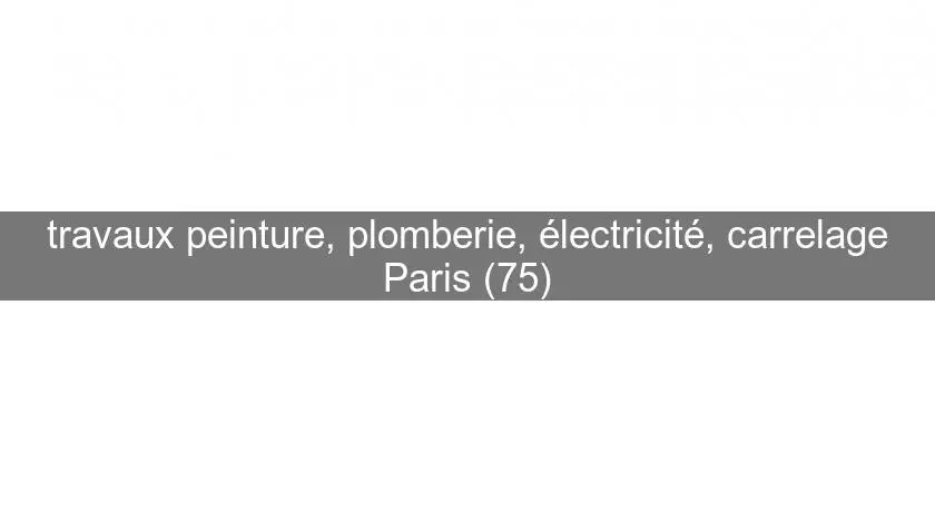 travaux peinture, plomberie, électricité, carrelage Paris (75)