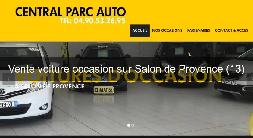 Vente voiture occasion sur Salon de Provence (13)