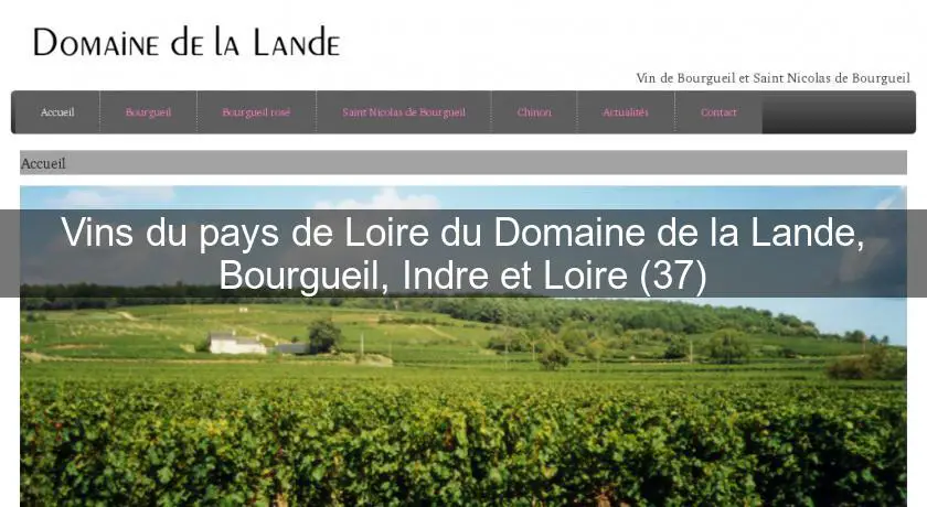 Vins du pays de Loire du Domaine de la Lande, Bourgueil, Indre et Loire (37)