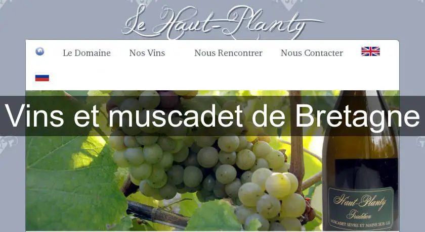 Vins et muscadet de Bretagne