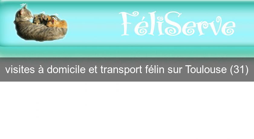 visites à domicile et transport félin sur Toulouse (31)