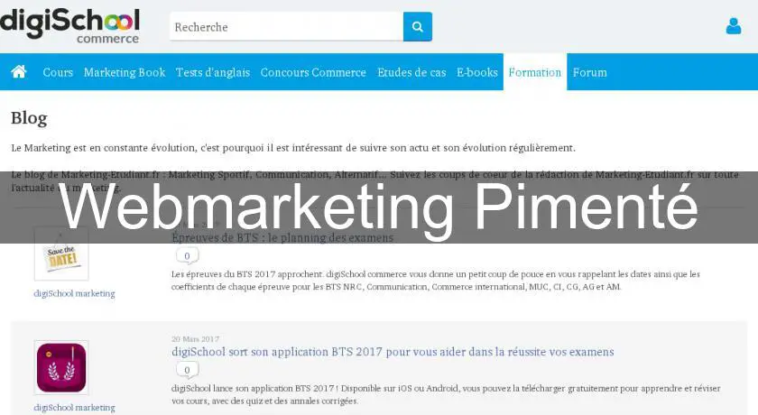Webmarketing Pimenté