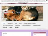 Adoption et protection chien et chat sur Chambéry (73)