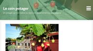 Astuces pour des plantes et aromates sur balcon réussies 