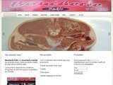 Boucherie charcuterie orientale, viande halal à Bordeaux