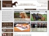 Comparer les offres d'assurance pour les chevaux et professionnels de l'équitation