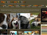 Conseil santé, alimentation, soin et éducation des chiens