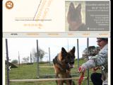 éducateur comportementaliste canin dans l'Hérault (34)
