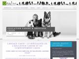 Educateur comportementaliste canin et pension chien et furets, en Seine et Marne (77)