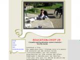 Education chiot et chien dans le Finistère, Bretagne
