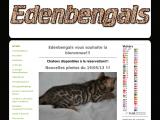 Elevage de chat de race Bengal à Toulouse (31)