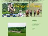 Elevage de chevaux de courses et de concours en Charente