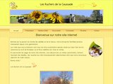 Miel artisanal et produits de la Ruche, près de Bordeaux (33)