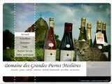 Muscadet, Gamay, Gros Plan, vins du Domaine des Pierres Meslières, Saint-Géréon  (44)
