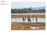 Photos animalières et paysagères d'Afrique et du Lubéron
