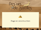 Projet Rallye des Gazelles 2013