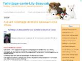 Toilettage canin à domicile sur Beauvais (60)