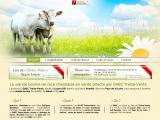vente directe de viande bovine charolaise en Vendée