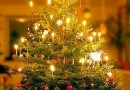 Le sapin de Noël : symbolique et décorations des origines à nos jours