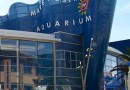 L'aquarium Mare Nostrum : une visite ludique à Montpellier 