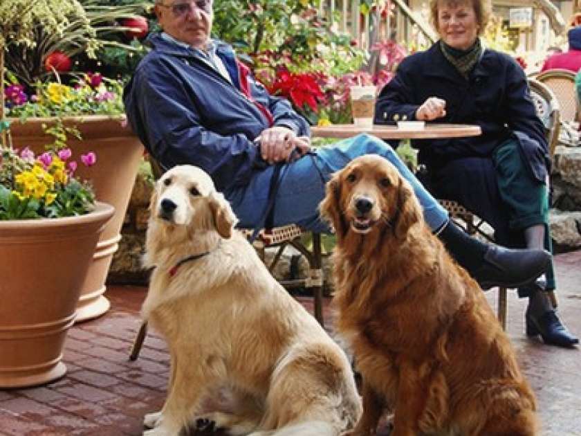 rencontres propriétaires de chiens