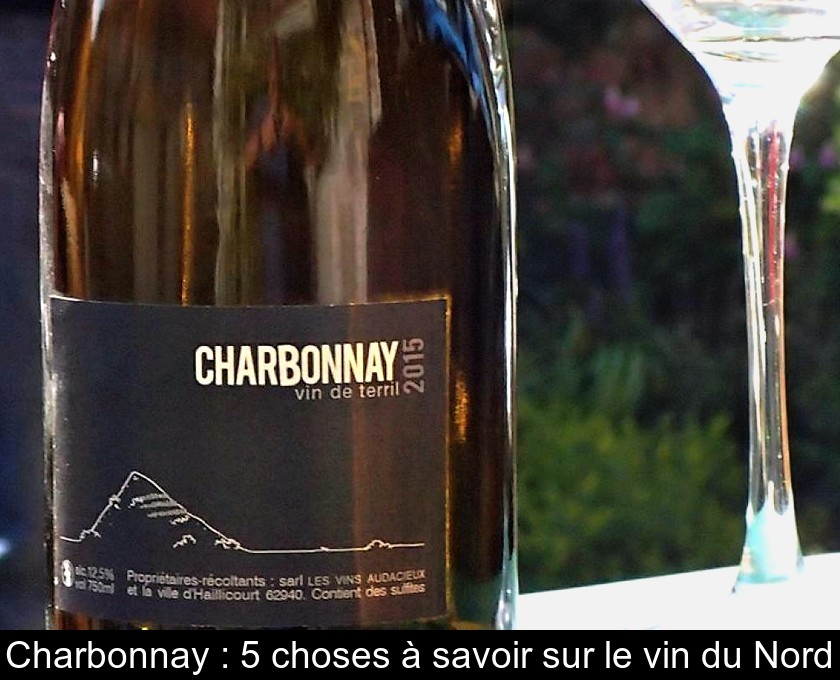 Charbonnay : 5 choses à savoir sur le vin du Nord