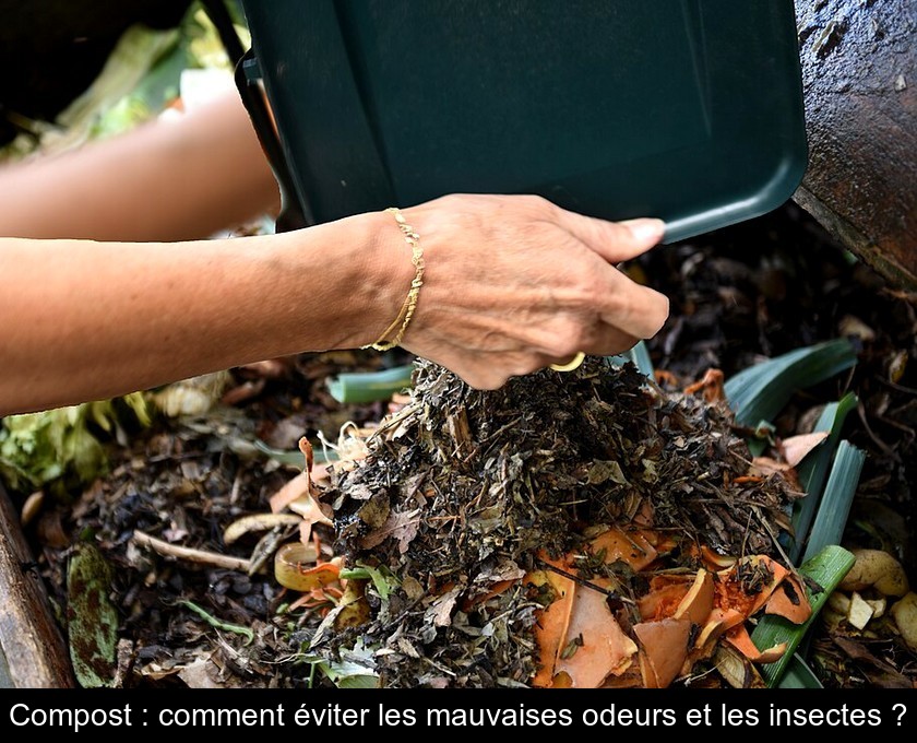 Compost : comment éviter les mauvaises odeurs et les insectes ?