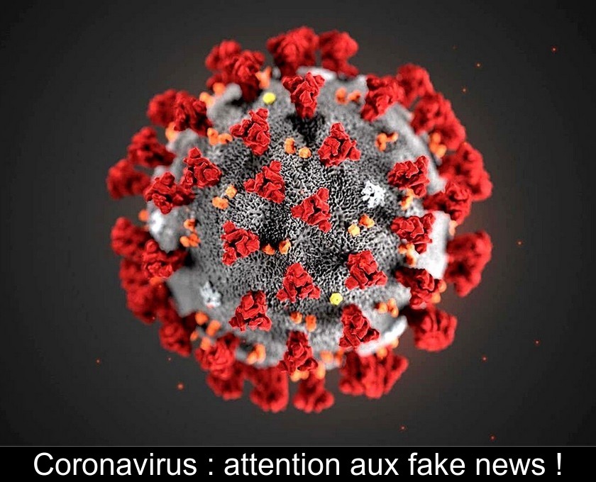 Coronavirus : attention aux fake news !