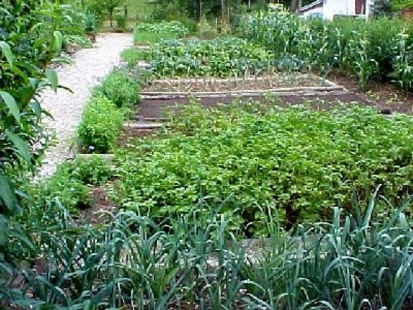 Créer un jardin potager