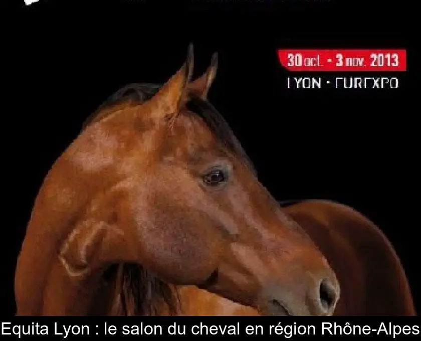 Equita'Lyon : le salon du cheval en région Rhône-Alpes