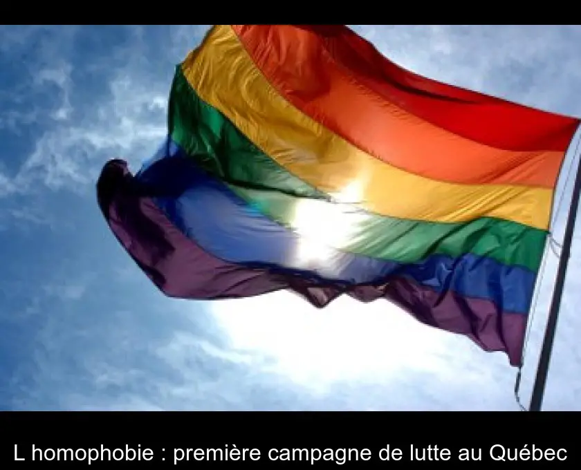 L'homophobie : première campagne de lutte au Québec