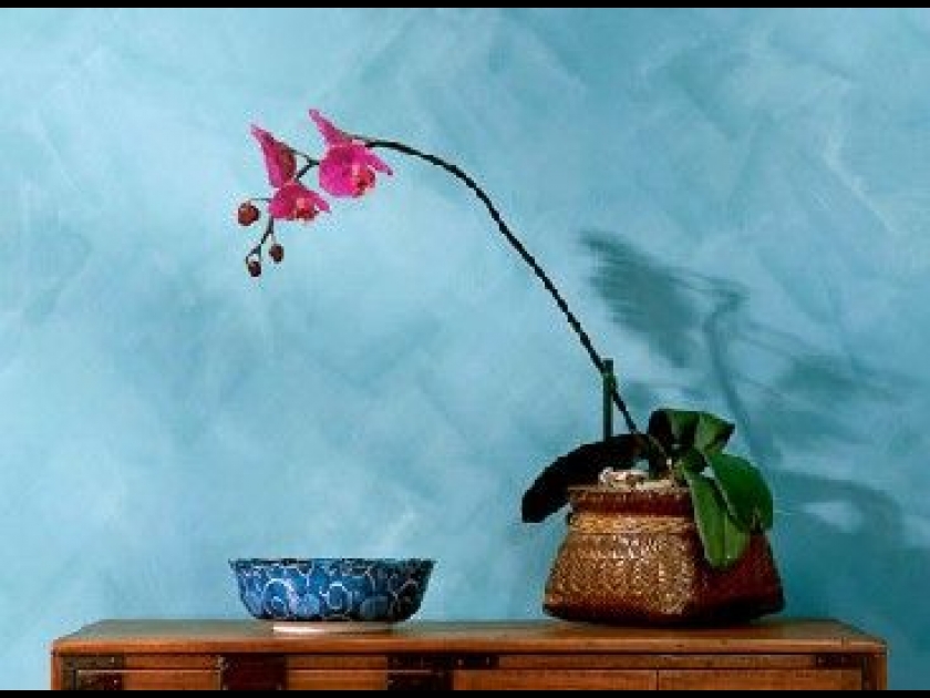 thumb-la-peinture-a-la-chaux---guide-pra