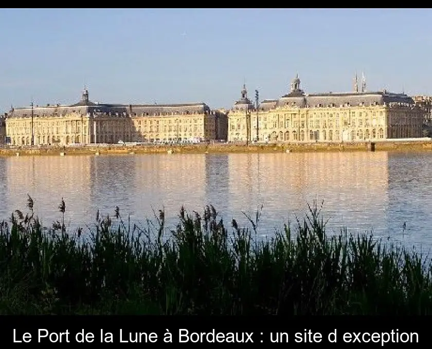 Le Port de la Lune à Bordeaux : un site d'exception