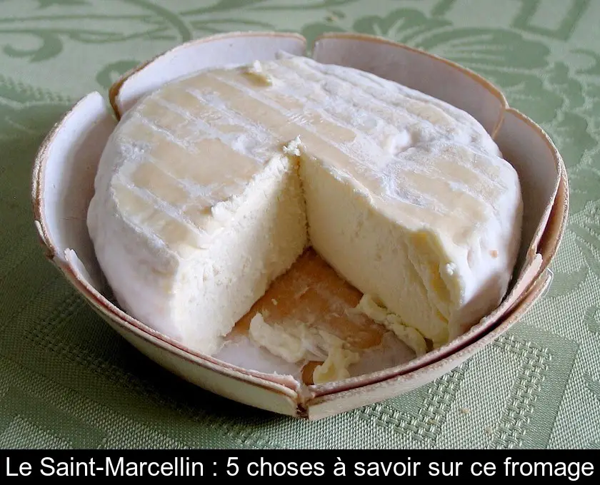 Le Saint-Marcellin : 5 choses à savoir sur ce fromage