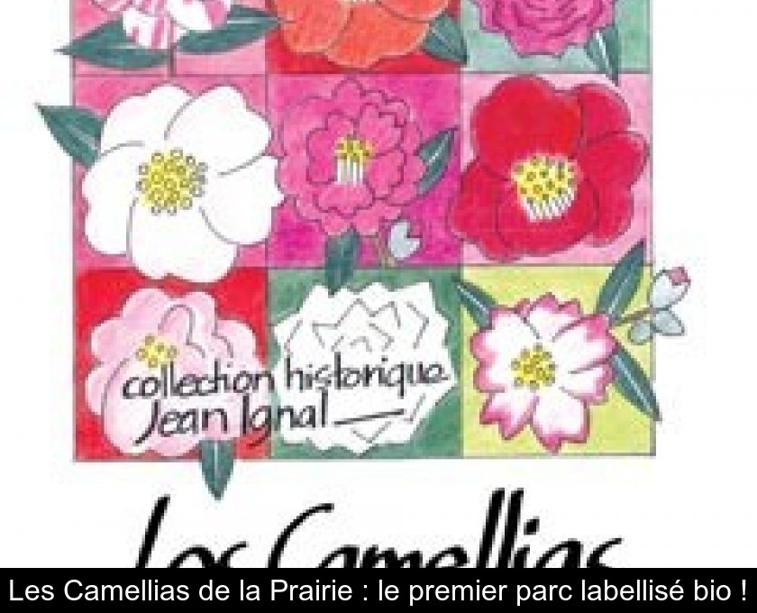 Les Camellias de la Prairie : le premier parc labellisé bio !