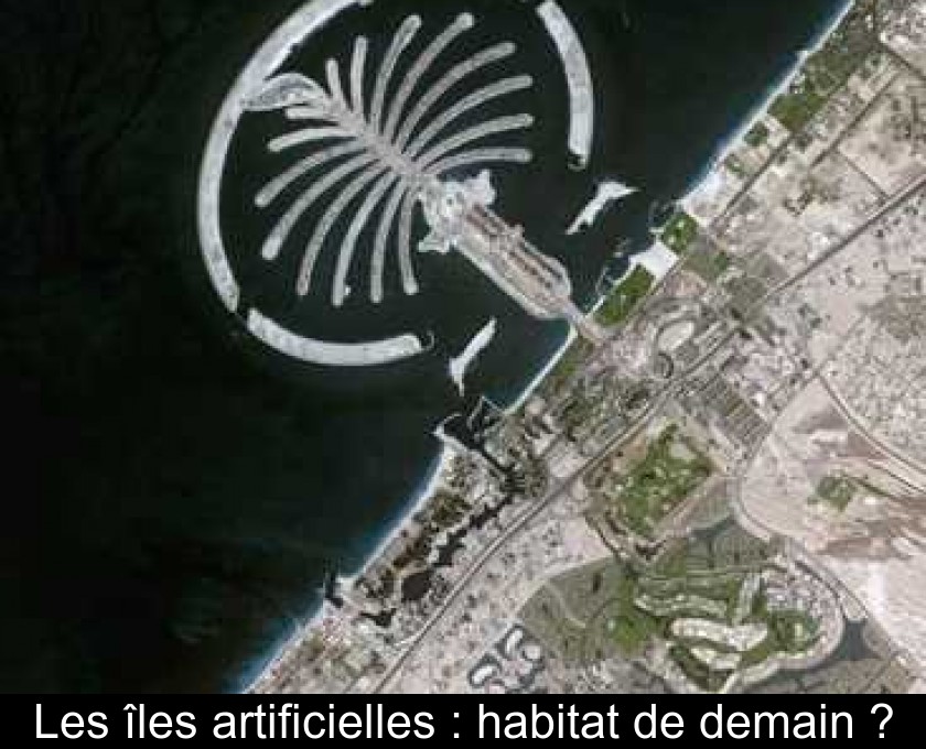 Les îles artificielles : habitat de demain ?