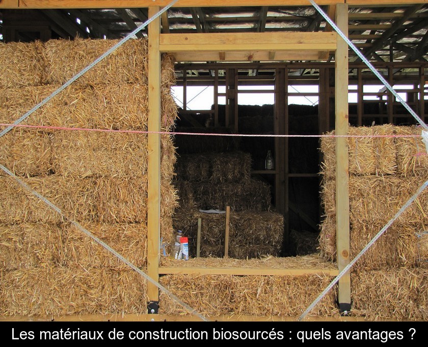 Les matériaux de construction biosourcés : quels avantages ?