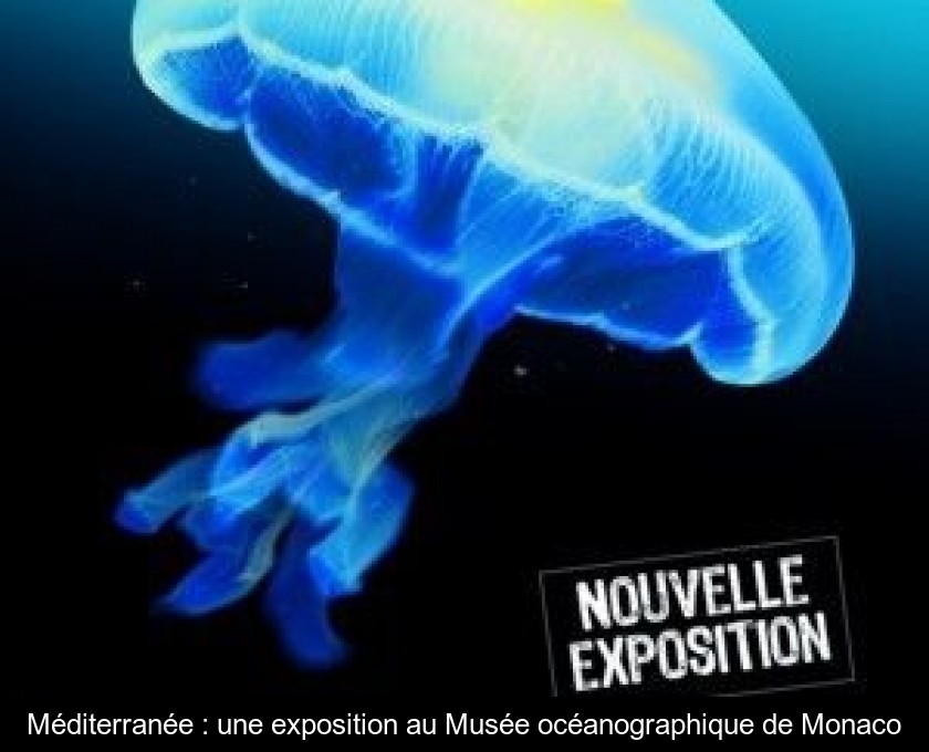 Méditerranée : une exposition au Musée océanographique de Monaco