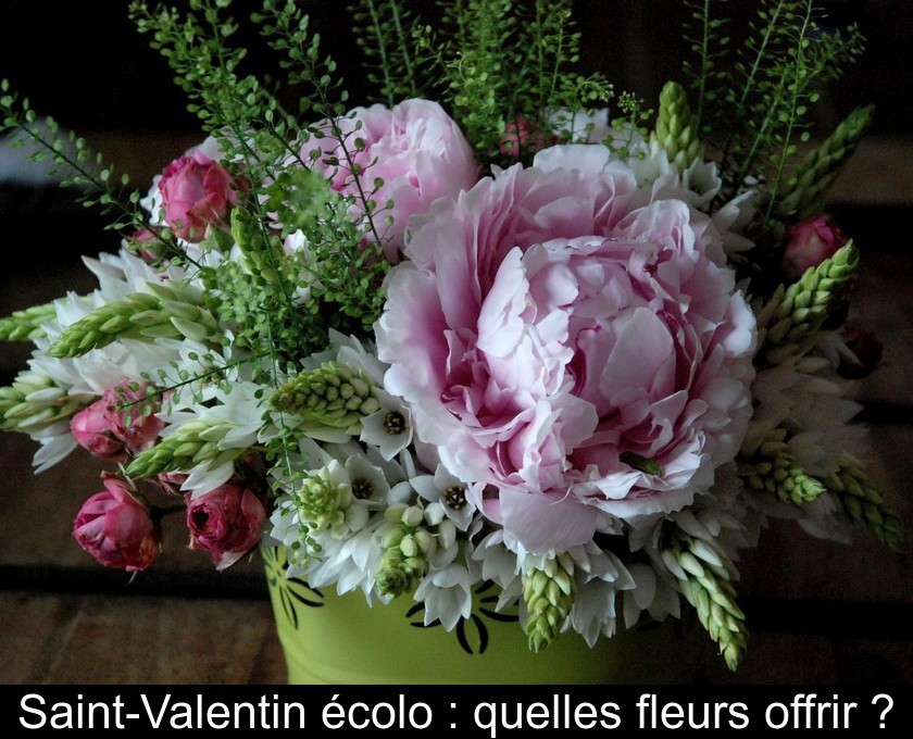 Saint-Valentin écolo : quelles fleurs offrir ?