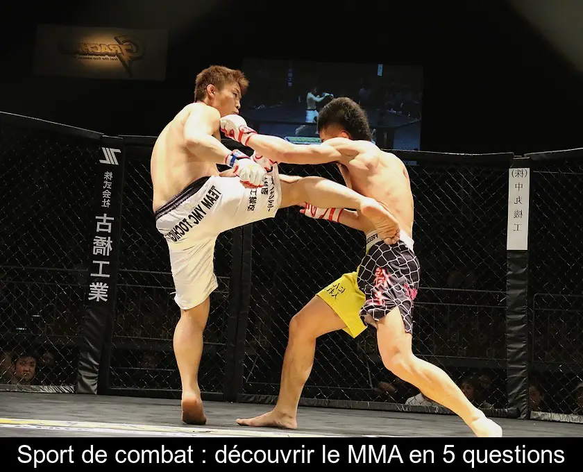 Sport de combat : découvrir le MMA en 5 questions