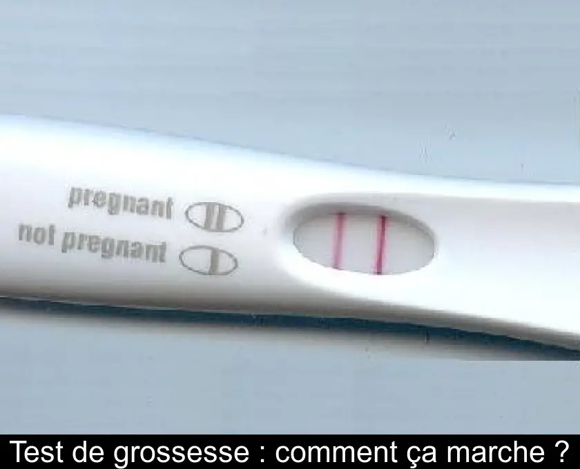 Test de grossesse : comment ça marche ?