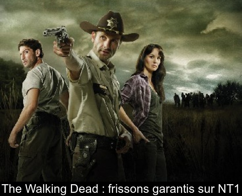 The Walking Dead : frissons garantis sur NT1